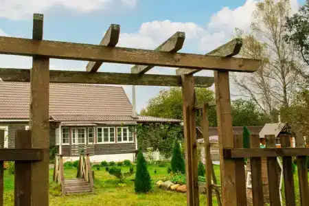 Боровики - 41