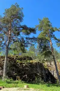 Ласточкино гнездо - 42