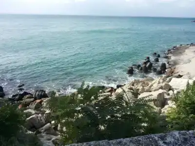 Guest House Dani - 7