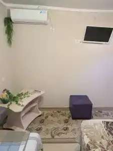 Антуриум - 2