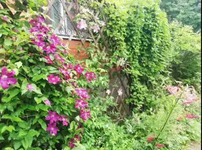 Уютный дом у Можайского моря - 21