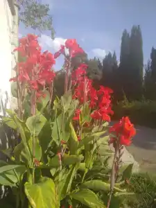 Уютные апартаменты в частном доме с террасой с видом на море - 24