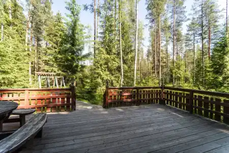 Шишки на Лампушке - 130