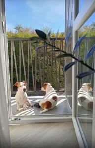 2кк в центре Севастополя - 22