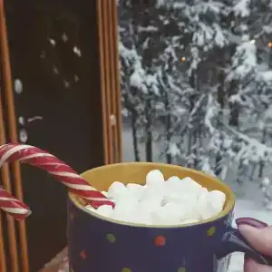Лагом Хаус - 18