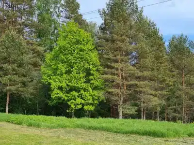 Коттедж у озера в Хабалинке - 34