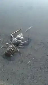 Озерная 38 - 159