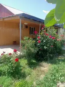 Дачный домик на первой береговой линии - 1