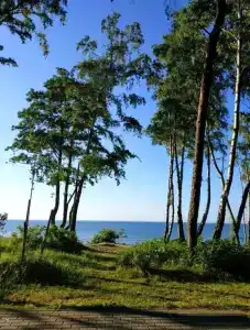 Квартиры на Набережной 2 - 175
