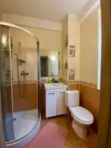 Дом с камином и баня на дровах - 12