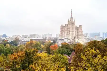 Солнечные Волкова, 21 - 12