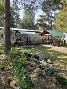 Дом под соснами - 17