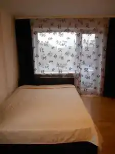 Янтарная шкатулка - 2