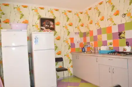 Родничок - 21