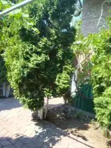 Гостевой дом на Комарова, 19 - 20