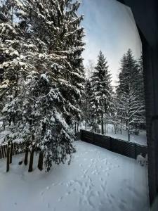 Дом в сосновом лесу - 41