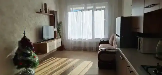 Квартира рядом с парком - 53