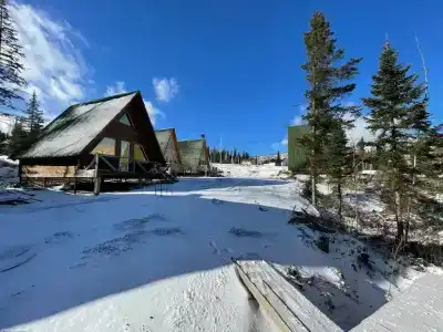ОлинГеш - 170