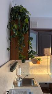 Квартиры в Зоологическом тупике 3 - 11