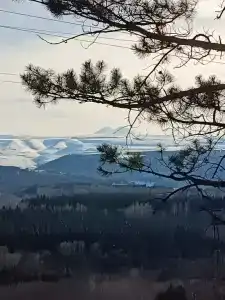 Квартиры на Губина 20 - 66