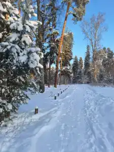 Домики в Заветах - 35