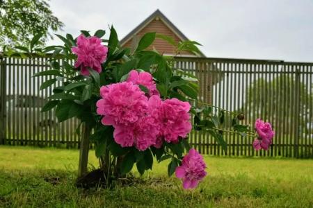 Уютный Двухэтажный коттедж с шикарной Баней на дровах - 40