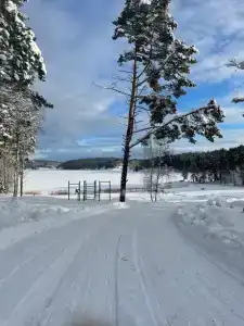 Домики Ихоярви - 3