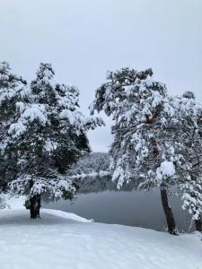Уютный лесной домик со всеми удобствами в Полянках - 21