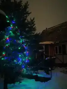 Приют горнолыжника - 1