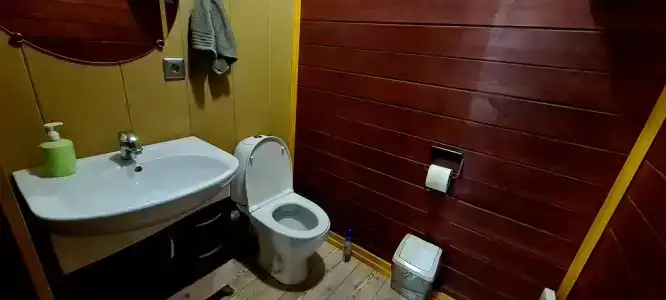Барские сосны - 19