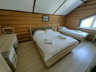 Борвиха - 12