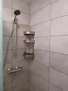 Таволга - 14