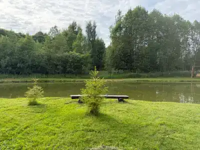 Гостевой дом с баней и прудом - 33