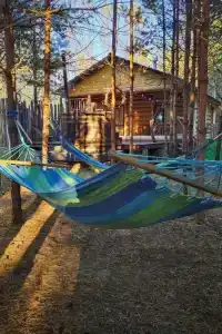 О, Дни в Лесу - 58