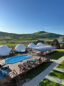 Аквариум - 18