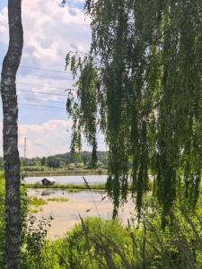 Бунгало в ДНТ Васильково - 62
