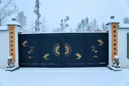 Хэйлун - 64