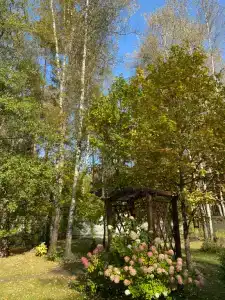Дом в лесу - 14