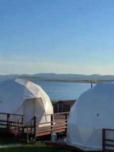 Аквариум - 151