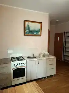 Гусь хрустальный - 4