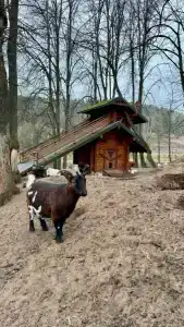 Капитан - 132