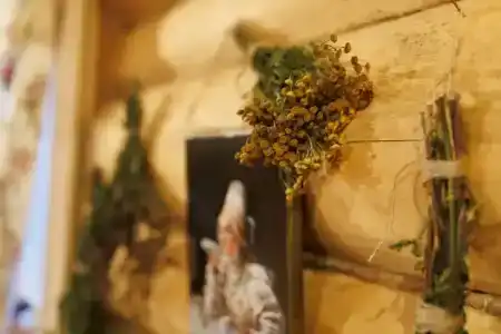 Сирин дом - 120