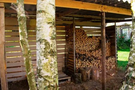 Боровики - 11