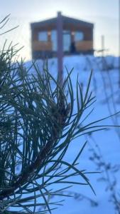 Уютный новый дом с сауной включена в стоимость и видом на озеро и лес - 57