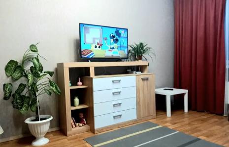 Видовая однокомнатная квартира - 0