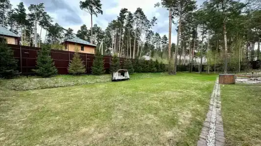 Среди Хвойных Сосен - 41