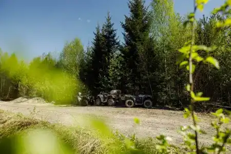 Винни-Вилла - 42