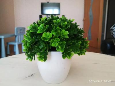 Апартаменты на Вознесендении - 19