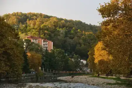 Квартира в Сочи Хоста - 60