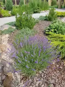 Богинский Закуток - 35